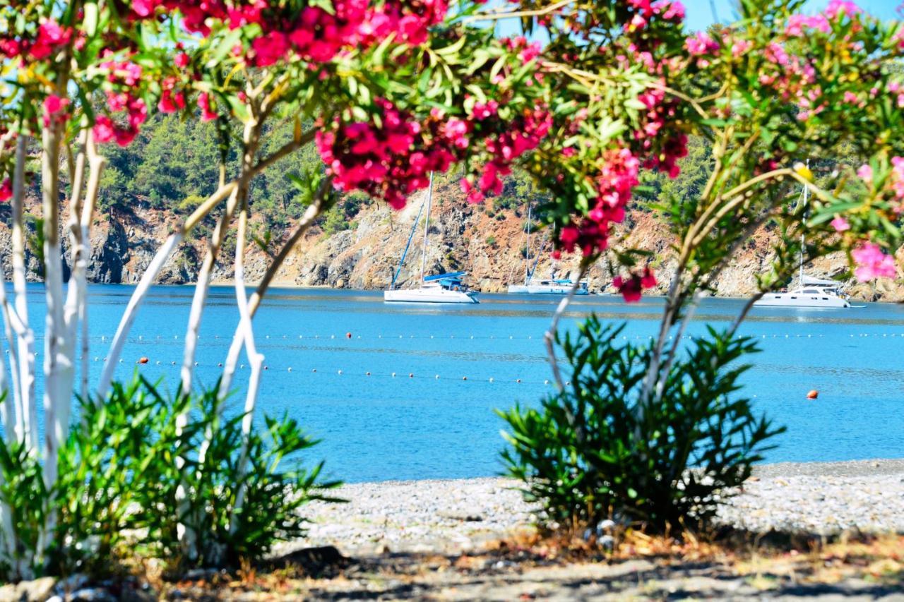 Santana Gocek Villa Гьочек Екстериор снимка